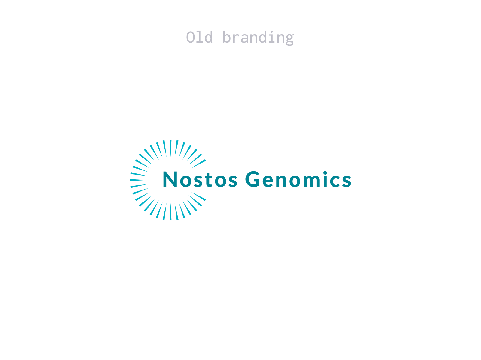 Nostos Genomics Identity Redesign - Project Screenshot